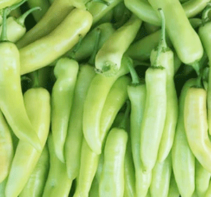 Bajji Chilli