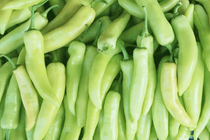 Bajji Chilli