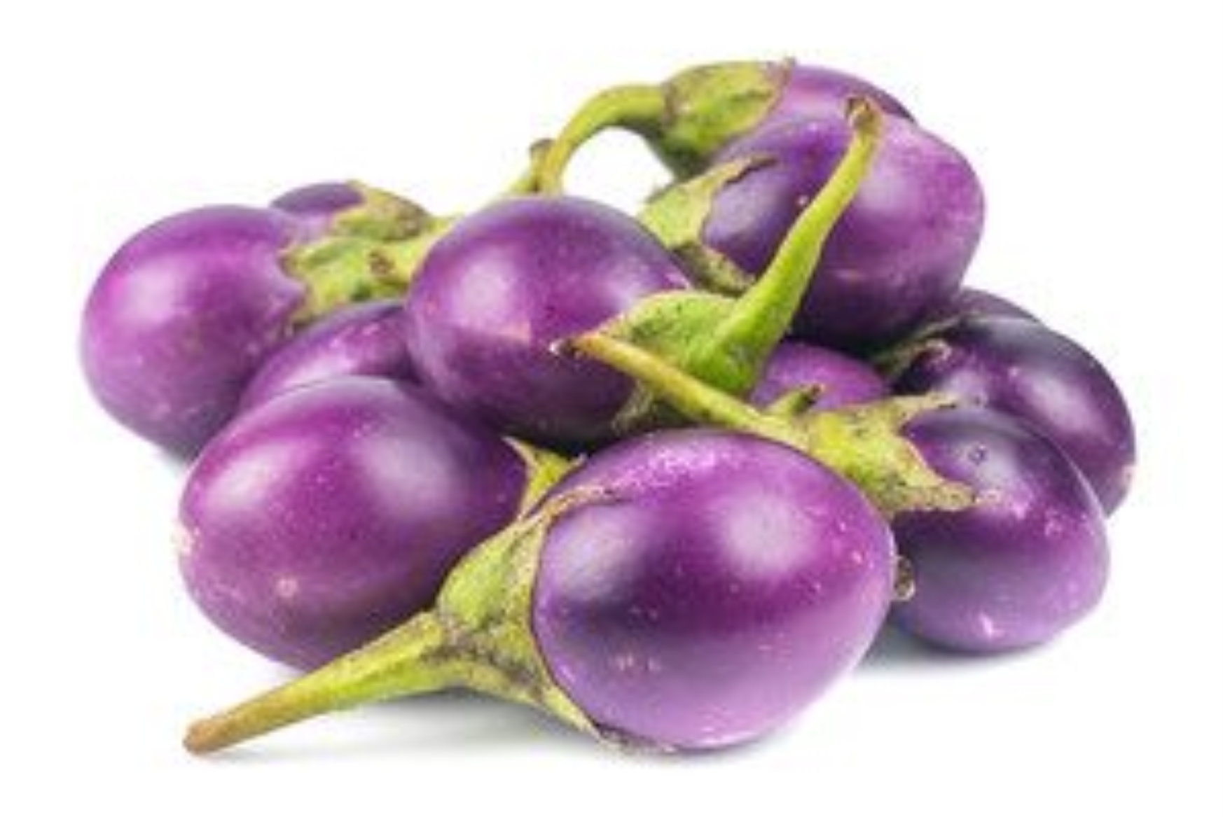 Brinjal