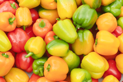 Capsicum - Image 2