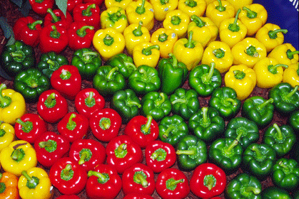 Capsicum - Image 3