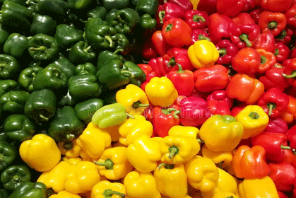 Capsicum - Image 4