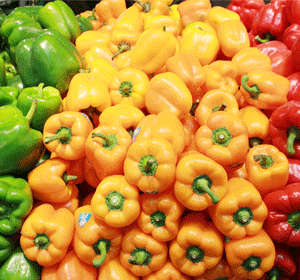 Capsicum