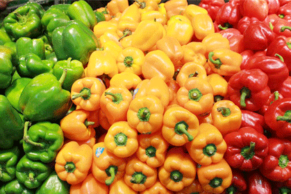 Capsicum