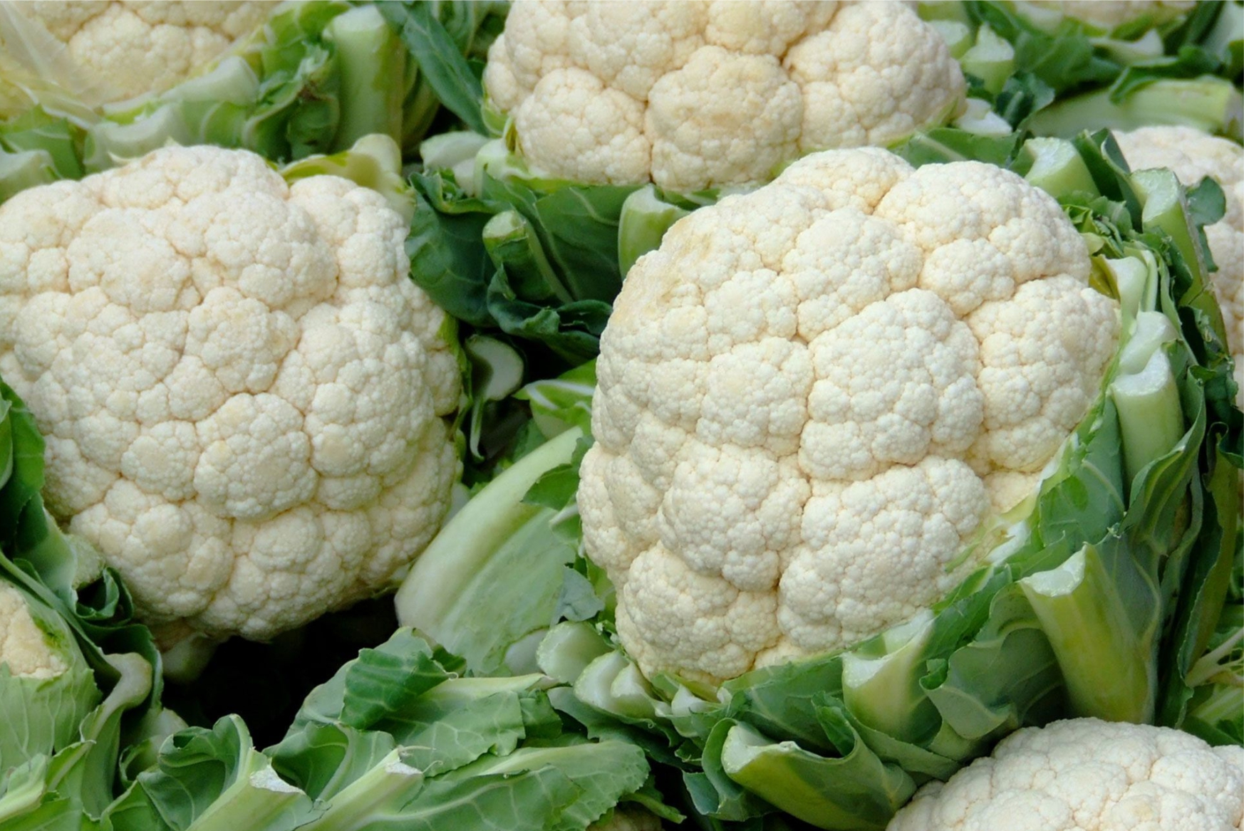 Cauliflower - Image 3
