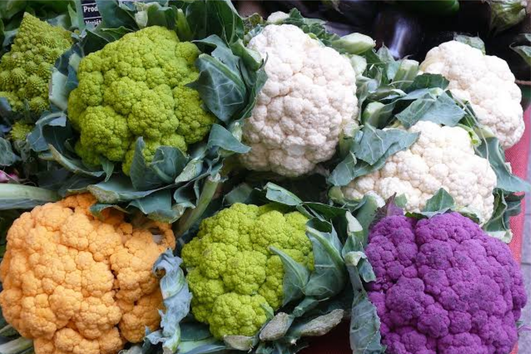 Cauliflower - Image 4