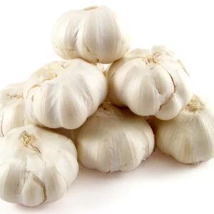 Garlic