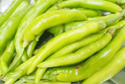Green Chilli low Spice