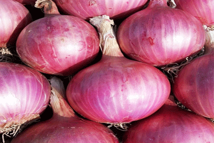 Onions - Image 3