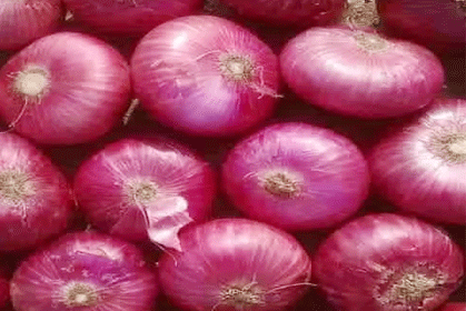 Onions - Image 4