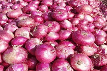 Onions - Image 2