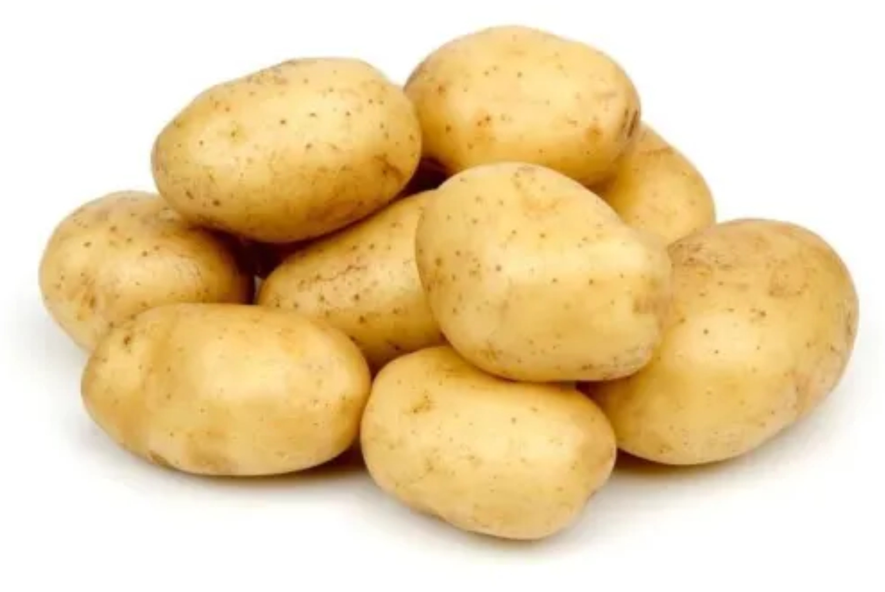 Potato